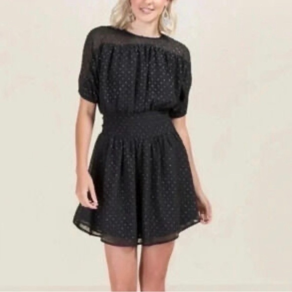 Francesca's Collections Dresses & Skirts - Francesca's Collections‎ Black Mini Dress with Embroidered Dots